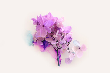 Obraz premium Creative image of pink and purple Hydrangea flowers on artistic ink background. Top view with copy space