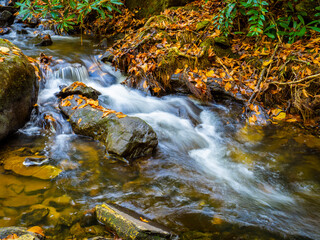 Fototapeta na wymiar Small cascades on Mud Creek along the Mud Creek Trail in in Sky Valley in Rabun County Georgia USA