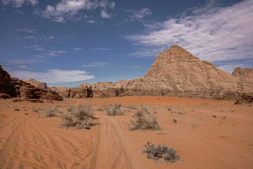 an empty road in the wadi Rum desert, dry bushes grow on the sand, red relief mountains, sunny day, nature of Jordan