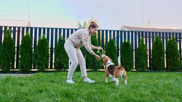 Girl playing with his dog beagle outdoors. He pets and teases his puppy with his favourite toy. Slow Motion. High quality 4k footage