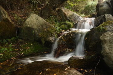 Fototapeta premium cascada