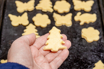 Making cookies in the form of various figures. Woman confectioner puts on a frying pan cookies  for baking