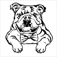 English bulldog vector black contour portrait vector