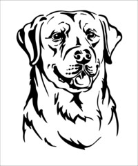 Labrador retriever dog vector black contour portrait vector