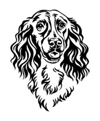 Spaniel dog vector black contour portrait vector