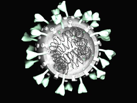 Corona Virus - mRNA