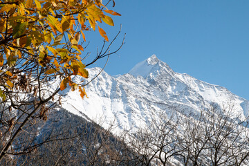 Paysage du Mont Blanc en automne