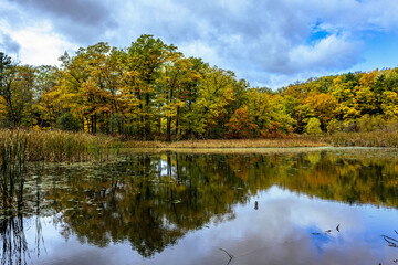 Fototapeta na wymiar Hendrie Park Valley trail across the marsh during autumn, Burlington Ontario