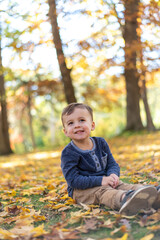 Cute toddler boy sitting in fall leaves