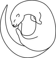 simple vector line illustration of a curled otter