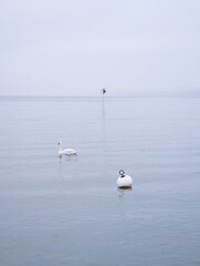 The Leman lake in autumn. Allaman, Switzerland, the 29th October 2021.