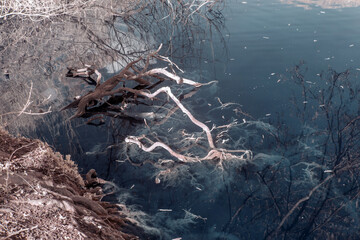 Infrared photography, invisible spectrum, infrared filter