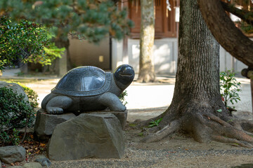 stone turtle statue under the tree in autumn shinto shrine