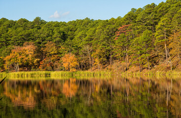 Colorful trees and their reflection on waters of Cedar Lake on an Oklahoma fall morning