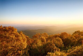 View at sunrise from a East side vista on Talimena Scenic Byway in Ouachita National Forest. Bright fall foliage in foreground trees, and heavy fog and haze between hilltops contrasting the layers.