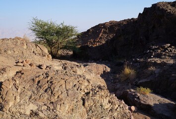 Hiking in evening in Shehoret mountains, south Israel 