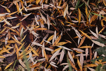 close up of a background