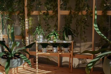 outdoor cafe in the city