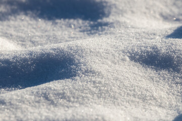 White snow on the frozen ground, winter in a nature reserve, a lot of snow, light reflecting off ice crystals, snowflakes, white