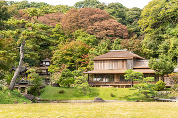Fototapeta na wymiar japanese traditional houses beside the pond surrounded by forest in japanese garden