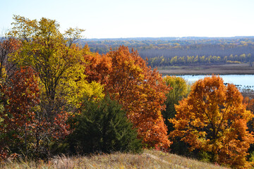 Autumn landscape in a park