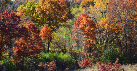 Autumn landscape in a park