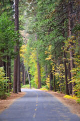 Fototapeta na wymiar Road in Yosemite Valley, California, USA