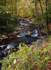 658-32 Middle Prong Autumn