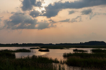 lake with plants during sunset, reflection in the lake