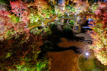 松島離宮の紅葉ライトアップ