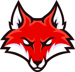 Head of Aggressive Red Fox