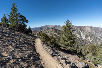 Cucamonga Peak trail in the San Gabriel Mountains with Mt Baldy in background.  
