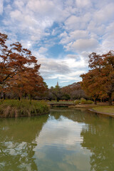 Fototapeta na wymiar 東京都渋谷区代々木にある公園の秋の景色