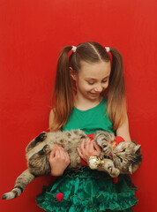 Little girl holding a cat in christmas sweater on red background. 