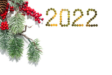 New Year 2022 and a twig of a Christmas tree on a white background.