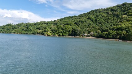 Beautiful ocean and green forest together with a beach in the background