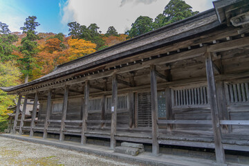 Fototapeta na wymiar 大神山神社
