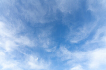 Obraz premium 空