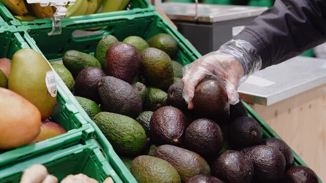Caucasian man with gloves choosing avocado in the supermarket. Close-up of black avocado in buyers hand. Person buying food in supermarket or fresh food market. Healthy food with vitamins, vegan