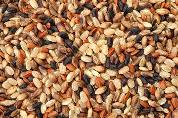 雑穀米のミックス