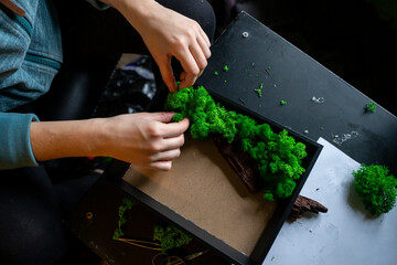 Damskie dłonie tworzące obraz z mchem / Women's hands creating an image with moss
