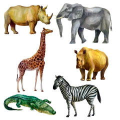 Watercolor illustration, set. African tropical animals hand-drawn in watercolor. Elephant, giraffe, rhino, zebra, crocodile.