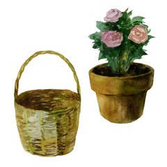 Watercolor illustration. Picture of a basket and a pot with a flower. Garden basket. Garden inventory.