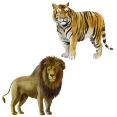 Watercolor illustration, set. Wild animals painted in watercolor. Lion and tiger.