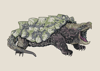 Aligator snapping turtle drawing, predator, art.illustration, vector