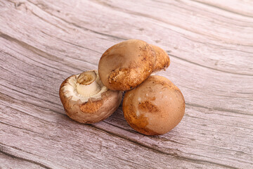 Raw brown champignons mushroom heap