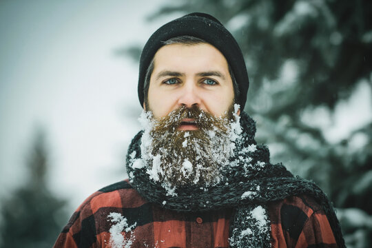 Man with snowy beard in winter forest with snow. Christmas hipster in hat at winter wood