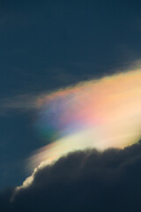 Naklejka na ściany i meble Bright rainbow cloud formed above some high white clouds.