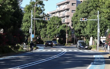 Fototapeta na wymiar 黄信号と横断歩道