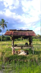 gazebo in the park
